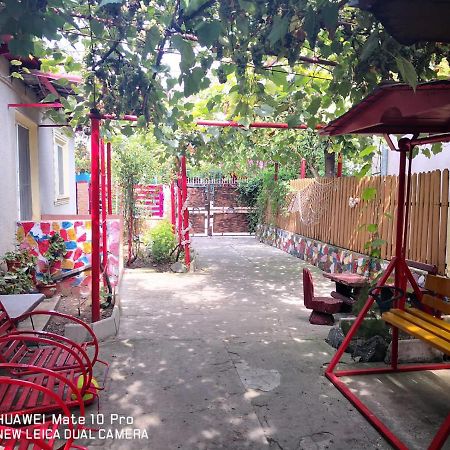 Casa De Vacanta Alexoiu Două Mai Buitenkant foto