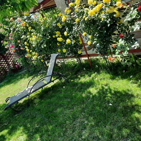 Casa De Vacanta Alexoiu Două Mai Buitenkant foto