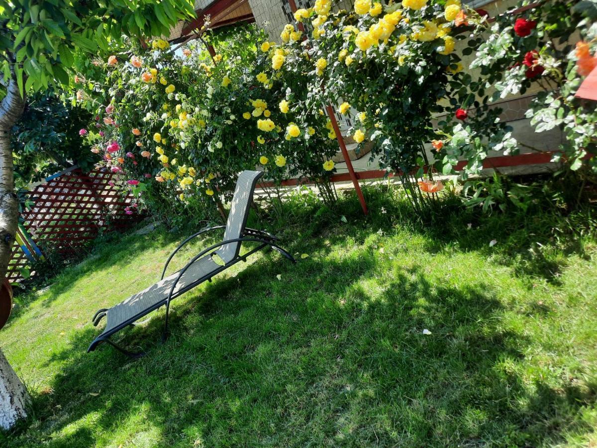 Casa De Vacanta Alexoiu Două Mai Buitenkant foto